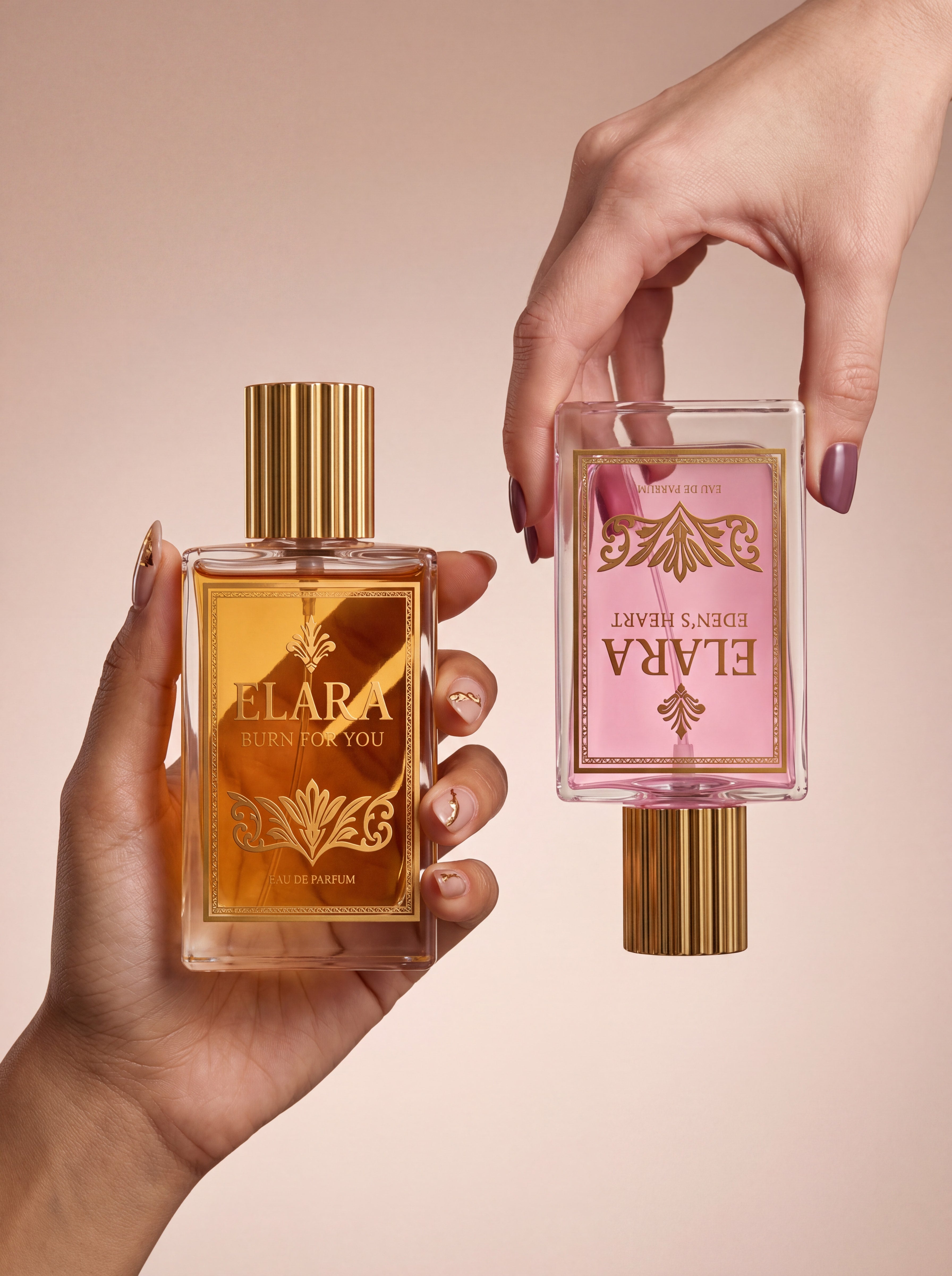 Les Deux Déesses — Coffret Découverte